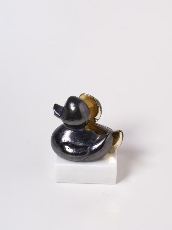 Little Duck I