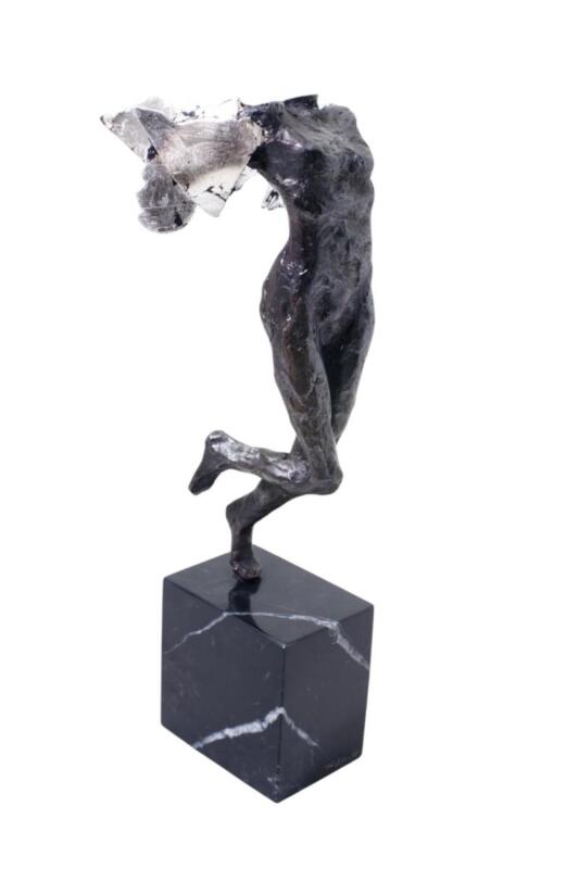 JAVIER BLANCO NIKE SILVER