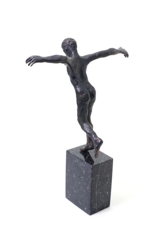 JAVIER_BLANCO_VIRTUAL_ICARUS_4
